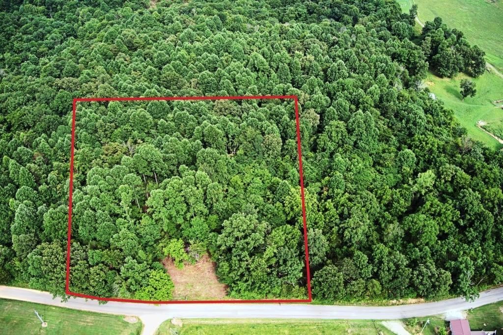 13.56+- Acres • Woodland • Timber • 2 Tracts
