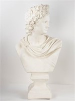 Plaster Bust of Apollo Belvedere