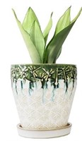 6 Inch Ceramic Planter Pots with Drainage Holes