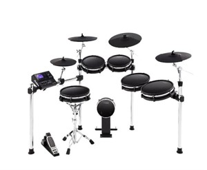 Alesis Drums DM10 MKII Pro Kit
