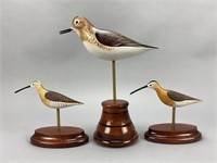 3 Anthony Hilliman Shorebirds