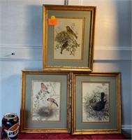 Three. Matching vintage, bird prints.