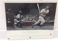 Ted Williams Ltd. Edition Upper Deck Photo
