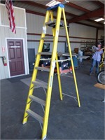 8' Fiberglass Ladder