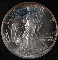 1987 American Silver Eagle