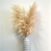 Yuna's Home Natural Beige Tall Pampas Grass - Set