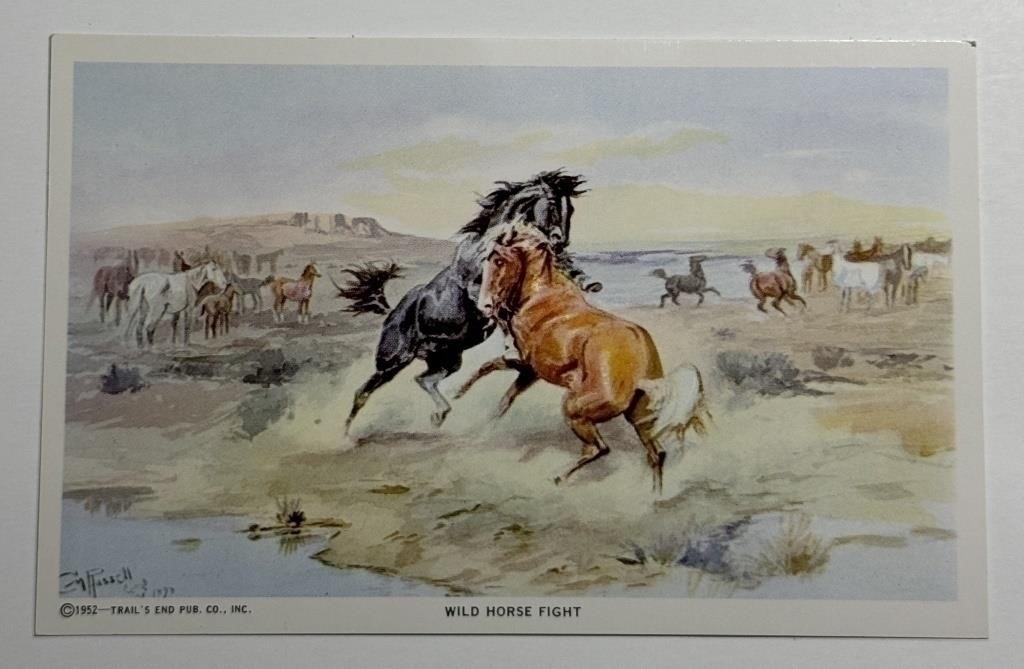 1952 Vintage PPC Postcard Trail’s End Wild Horse!