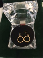 gold earrings hallmarked 10k in lucite box