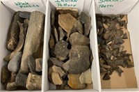 TRAY OF WHALE FOSSILS, SHARKS TEETH AND POTTERY