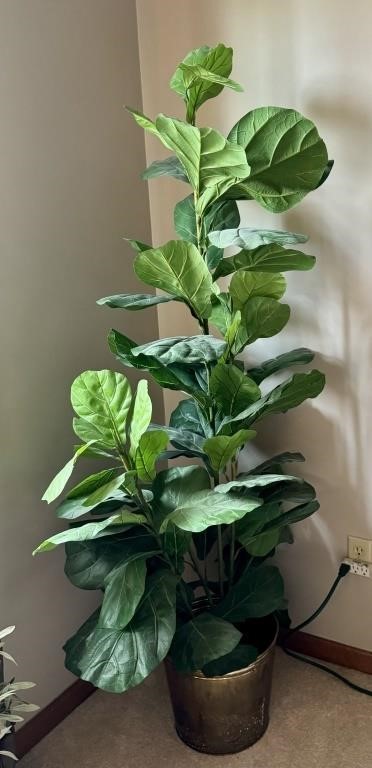 Artificial Fig Plant. Measures 64” Tall.