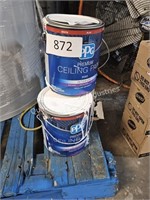 3-1g PPG ceiling paint (damaged)