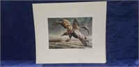 (1) 1982-83 Federal Duck Stamp Print Signed &