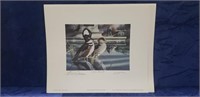 (1) 1996-97 Mississippi Duck Stamp Print Signed &