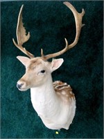 Fallon Deer trophy mount
