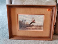Pheasant artwork
matted & framed print, 1975