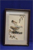 Vintage Chinese Bird Art