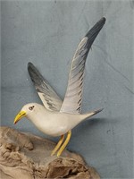 Wall mount Seagull on driftwood , miniature look