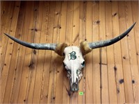 Longhorn Skull Mount