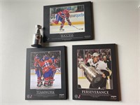 Hockey Positive Plaques