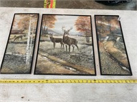 3 piece deer wildlife pictures