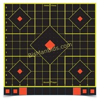 BC SHOOT-N-C 12" SIGHT IN TARGET 100PK