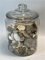 Store Counter 2 Gallon Jar with Seashells