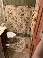 SHOWER CURTAIN, RUG, TOWELS