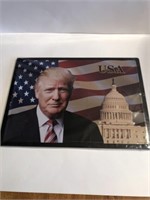 12 in x 17 in Trump metal sign