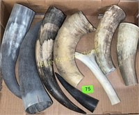 Variety horns