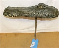 Floating Alligator Head **See Lot 1073 for  Mold*