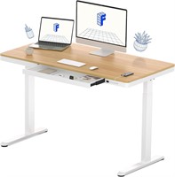 FLEXISPOT Electric Adjustable Desk