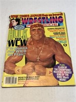 November ‘94 Wrestling Ringside Magazine #73 Hulk