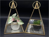 Metal and Glass Terrariums 8.5” Tall