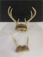 2 Sets of Deer Antlers Stag Man Cave Decor