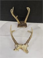 2 Sets of Deer Antler Stag Man Cave Decor
