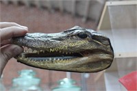 ALLIGATOR HEAD