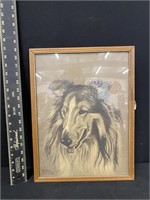 Vintage Lassie Dog Framed Print