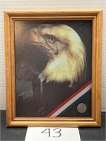 8x10 crying eagle photo