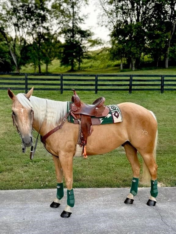 Guy Bynum Livestock-  July 13th and 14th Red White And *BOOM