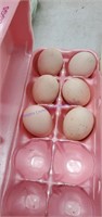 6 Fert Ayam Cemani Eggs