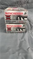 Winchester 223 WSSM