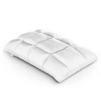 USED - Dreamzie Pillow Inserts