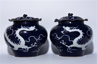 Chinese blue and white porcelain jar pair