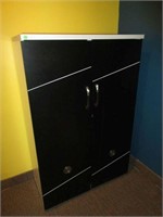 Modern (2) Door Storage Cabinet