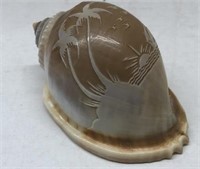 Hand carved seashell