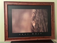 Gray Wolf Canvas Photograph 39 x 29