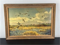 Vintage Framed Print - Mallards in Anglesey