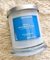 HOMEWORX by Harry Slatkin 8oz Jar Candle HYDRANGEA