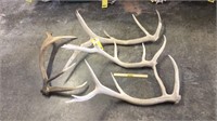 (4) Elk Sheds, Does Not Include Plastic Tub