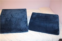 2 Wedge Pillows, 2 Sizes